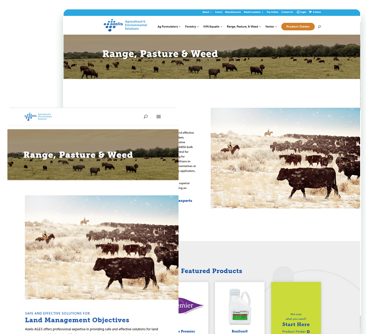 Azelis screenshot for tablet and laptop