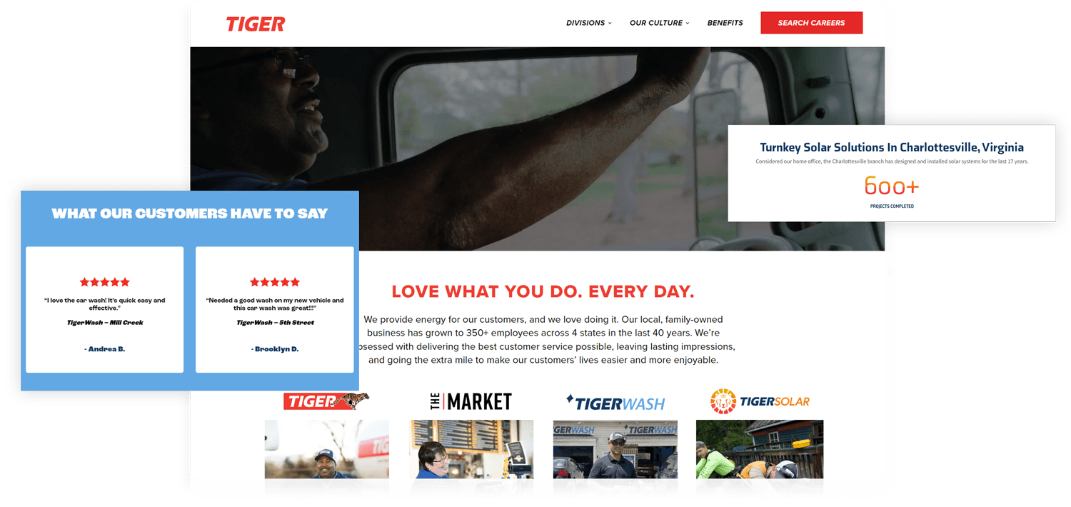 Tiger screenshot of homepage